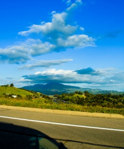 dsc_0207.jpg