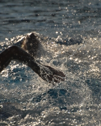 dsc_0053.jpg